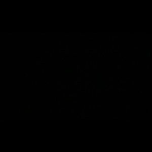 Meet your Posher, Layten